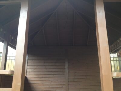 IMG_2624 IMG_2624